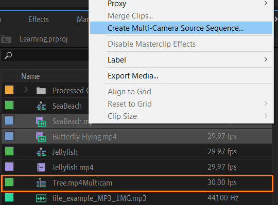 Premiere Pro: Create Multi-Camera Source Sequence