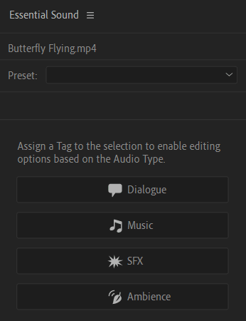 Premiere Pro : Essential Sound Audio Type