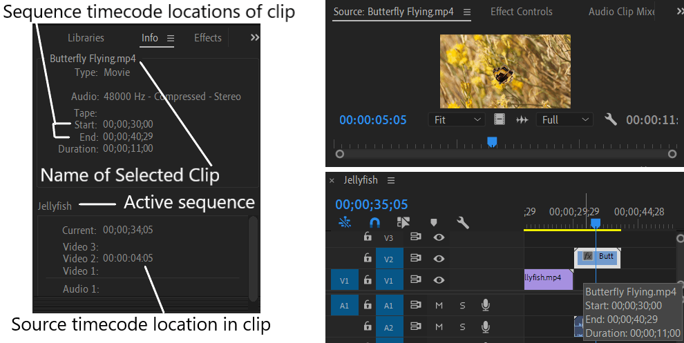 Premiere Pro Info Panel