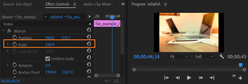 Adobe premiere scale где