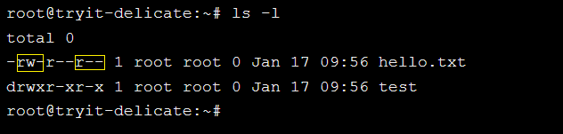 File permission in Linux.