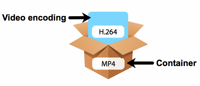 Media Container (mp4) having encoded frame