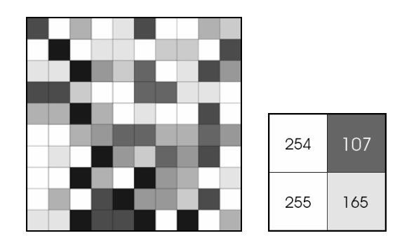 Grayscale image showing pixel values