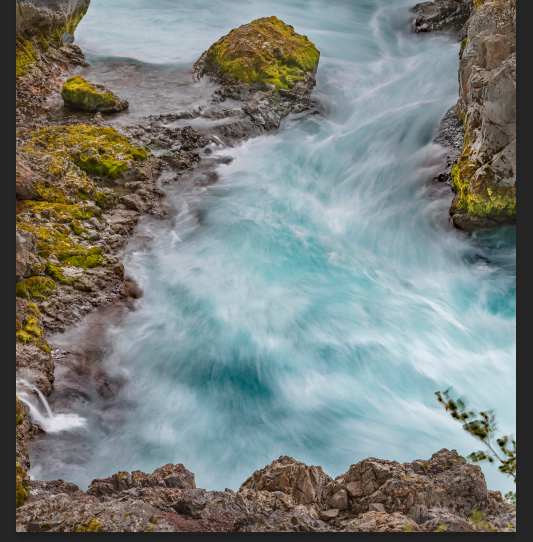 River image with plant near the rock.