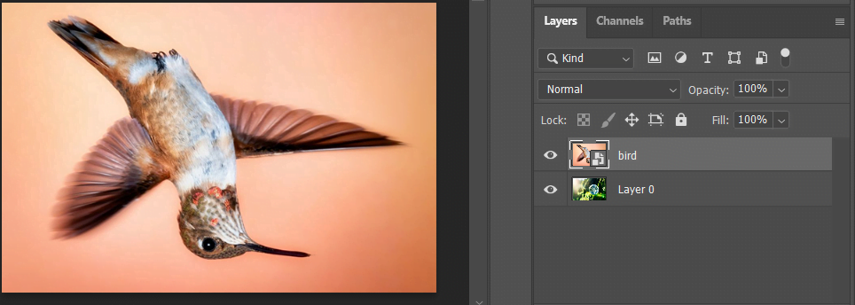 Smart Object with Layers Panel